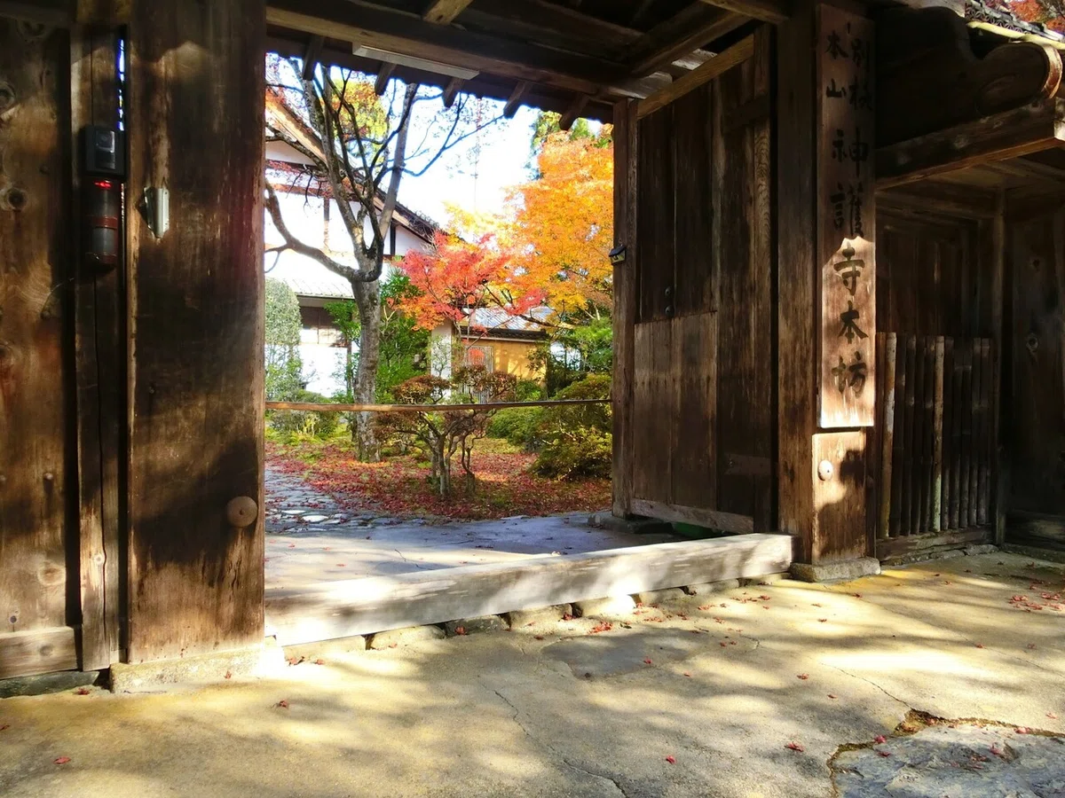 画像39