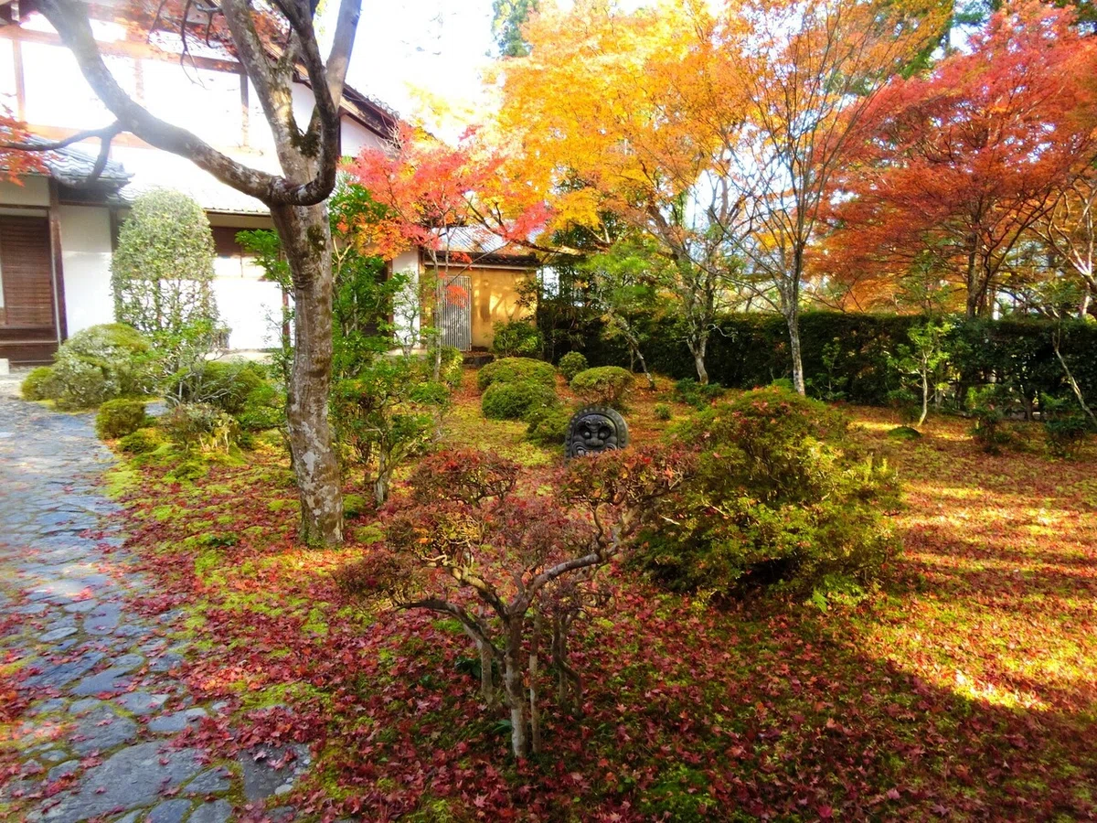 画像40