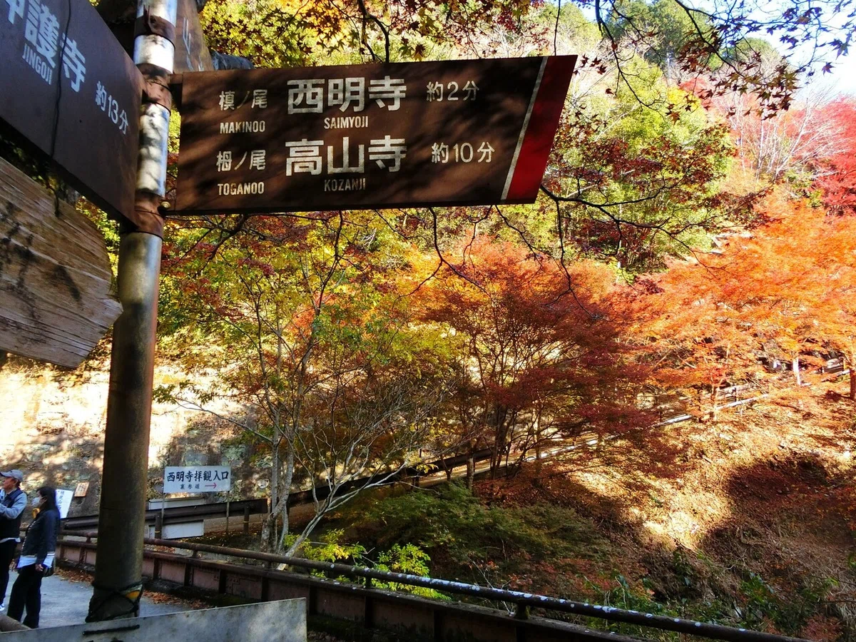 画像45