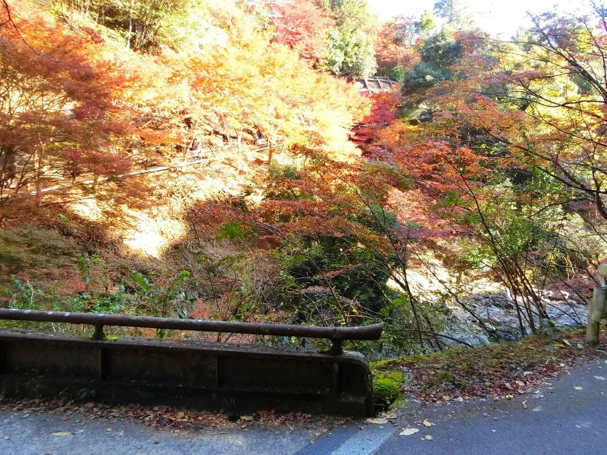 画像46