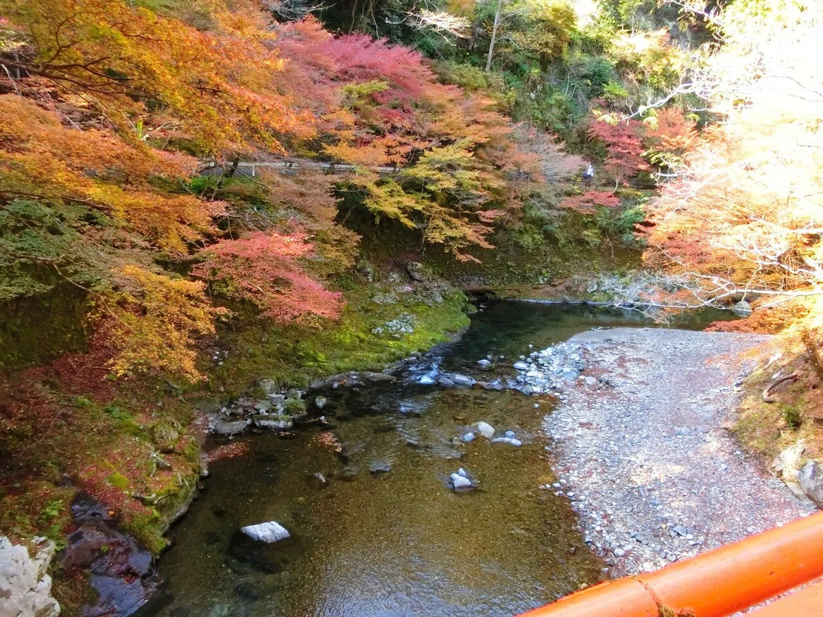 画像47