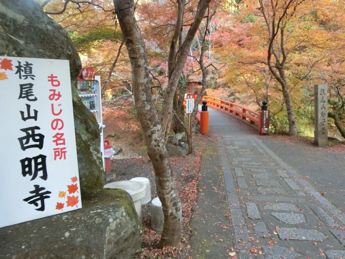 画像48