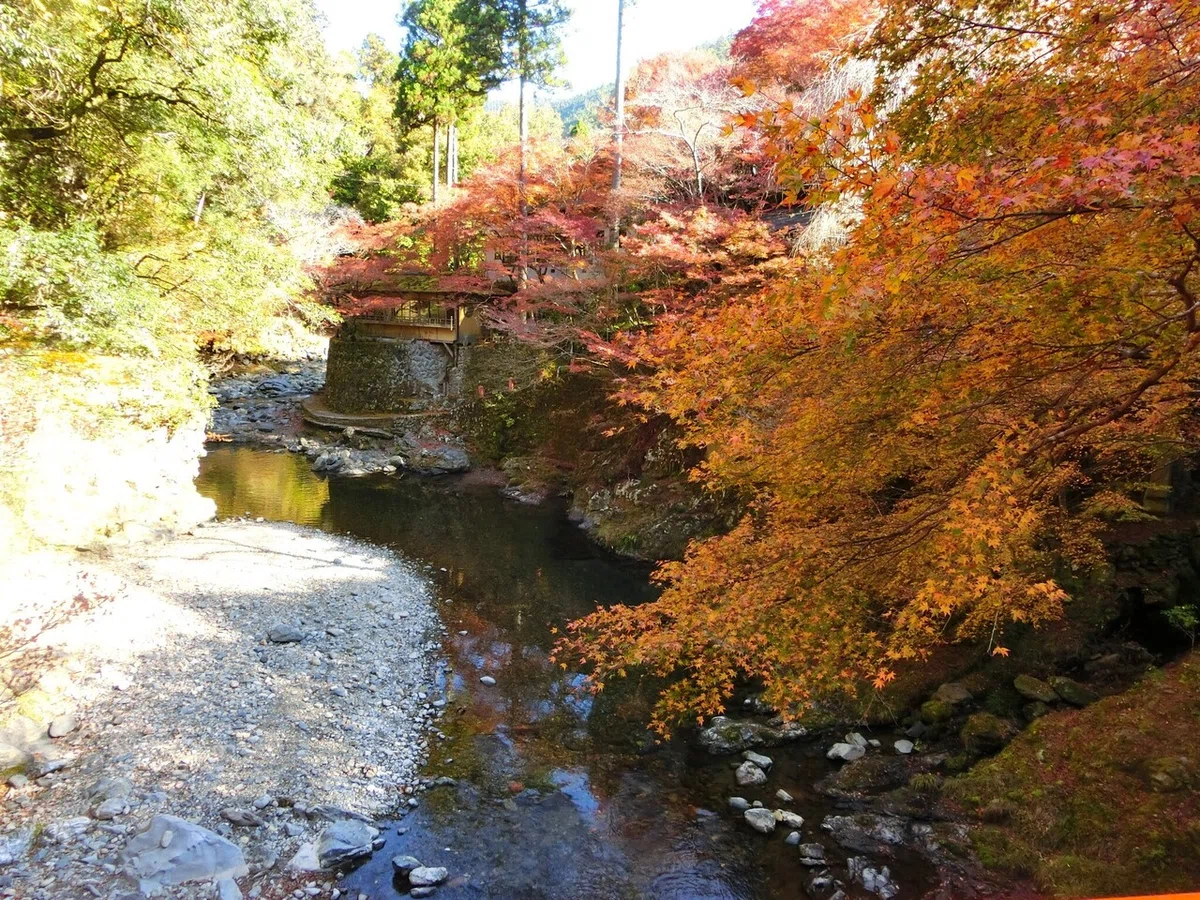 画像49