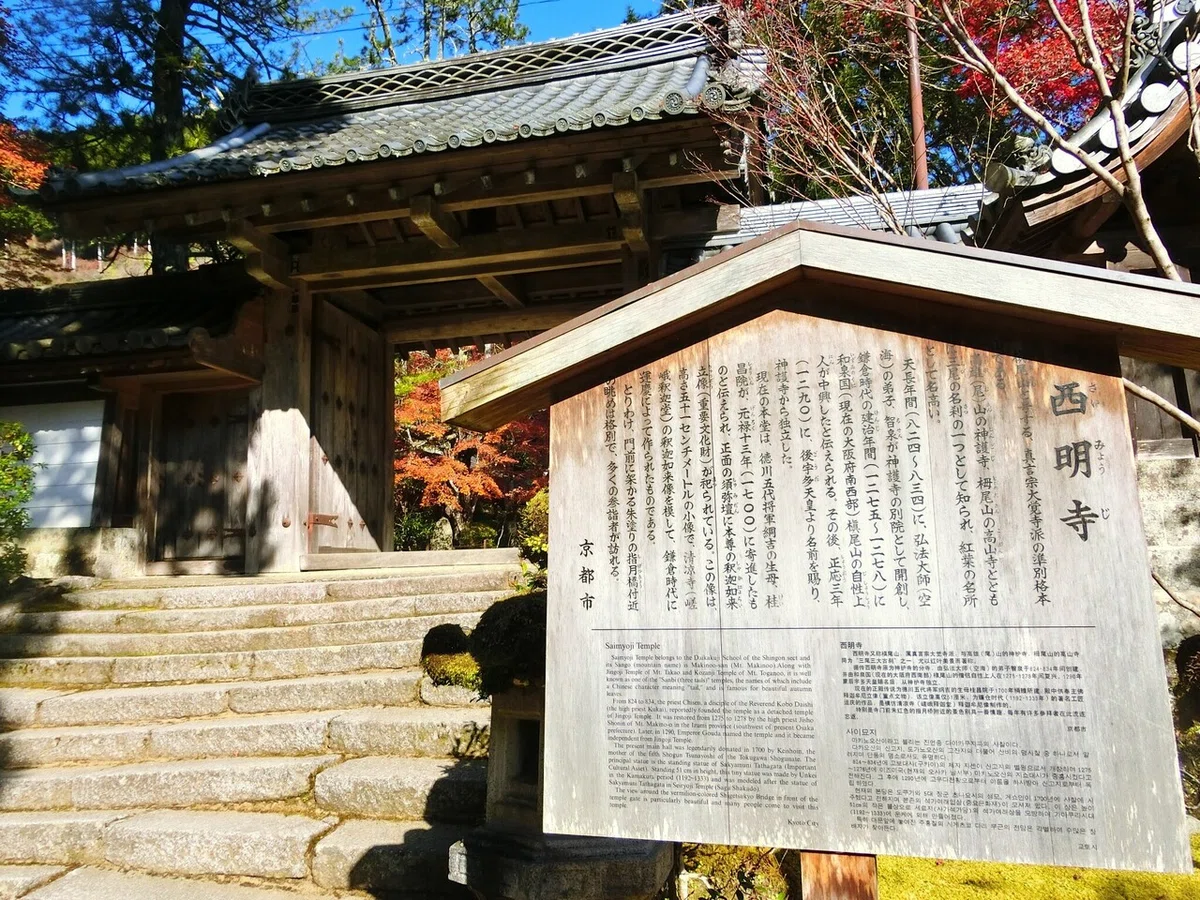 画像51