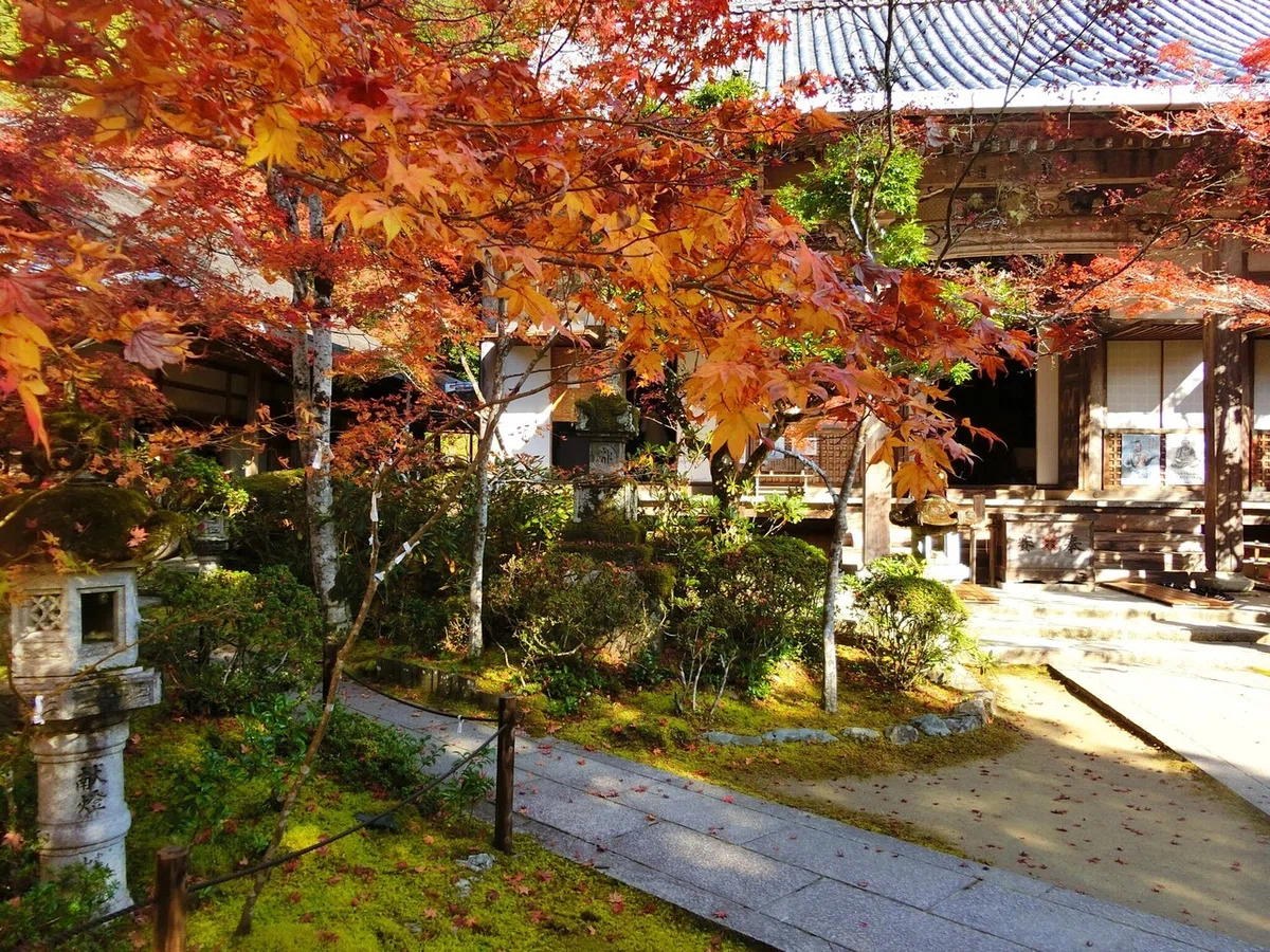 画像55
