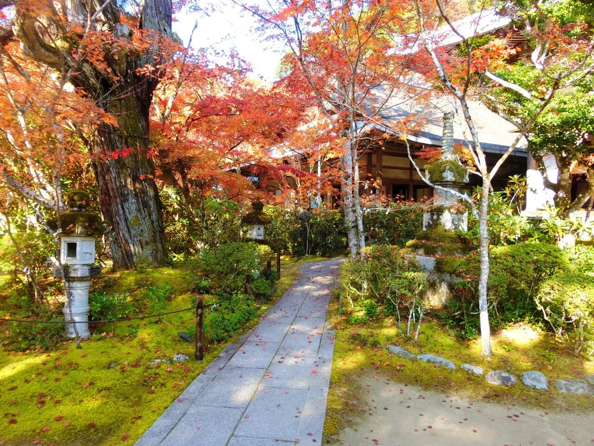 画像59