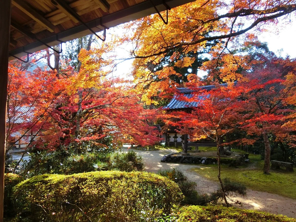 画像62