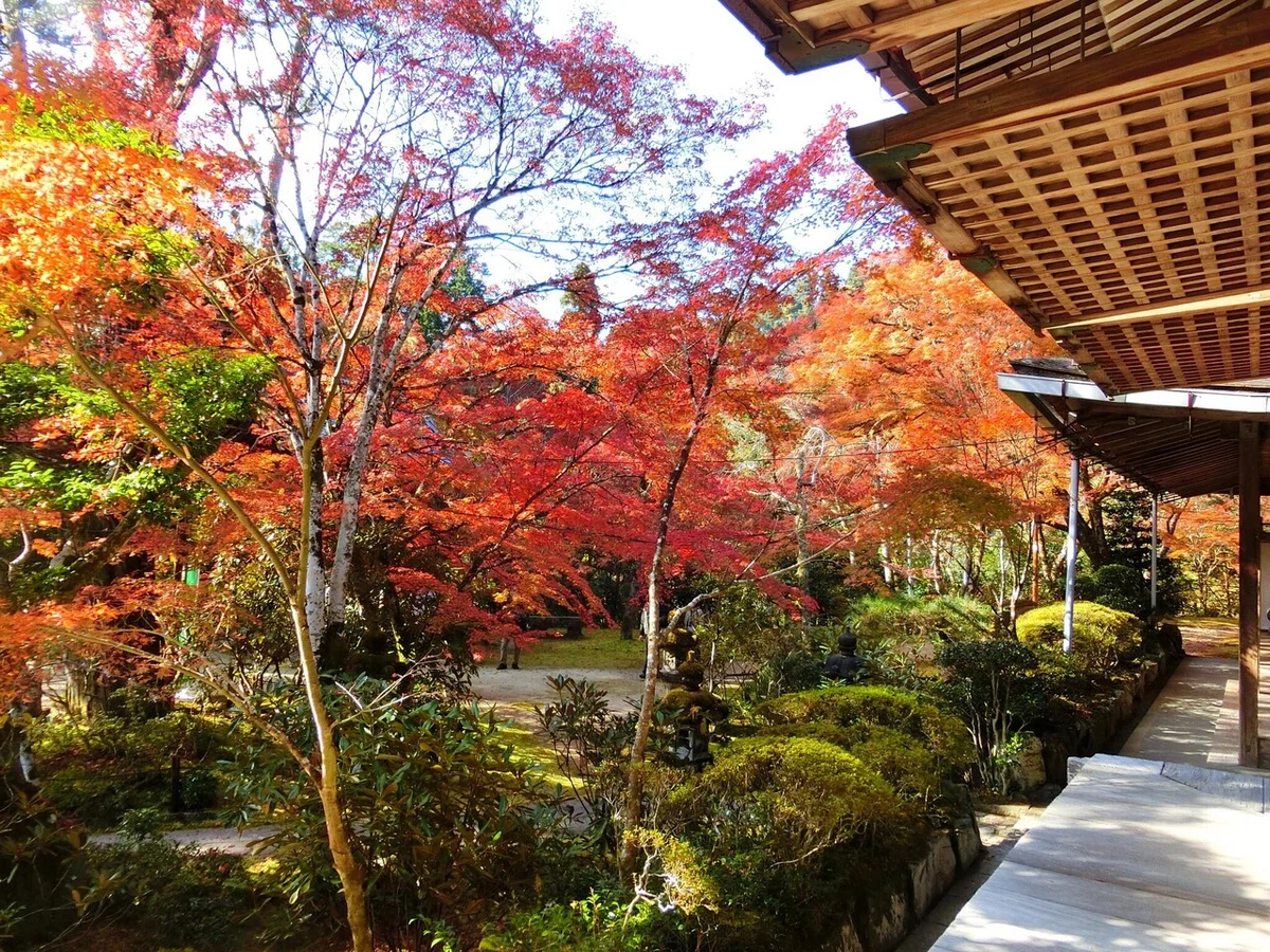 画像63