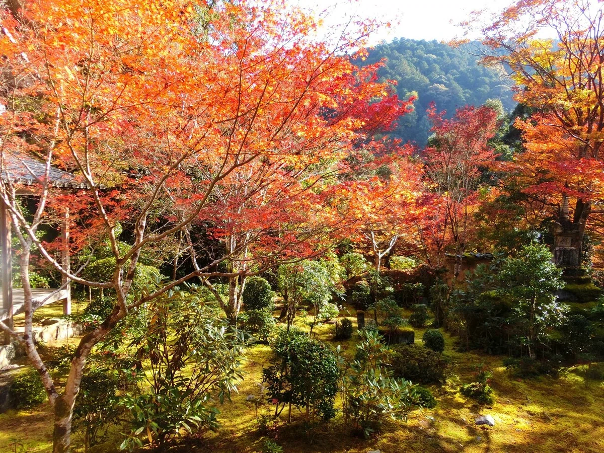 画像64