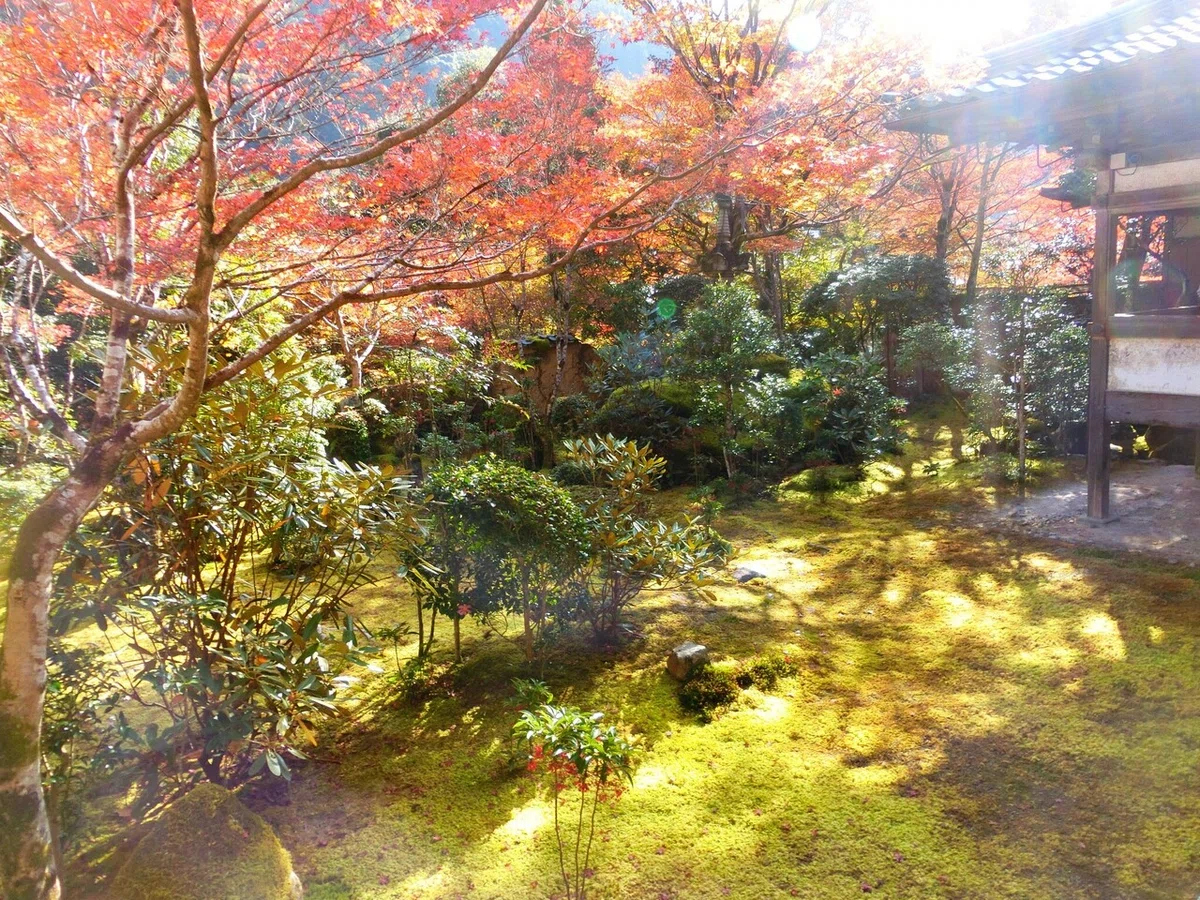 画像65
