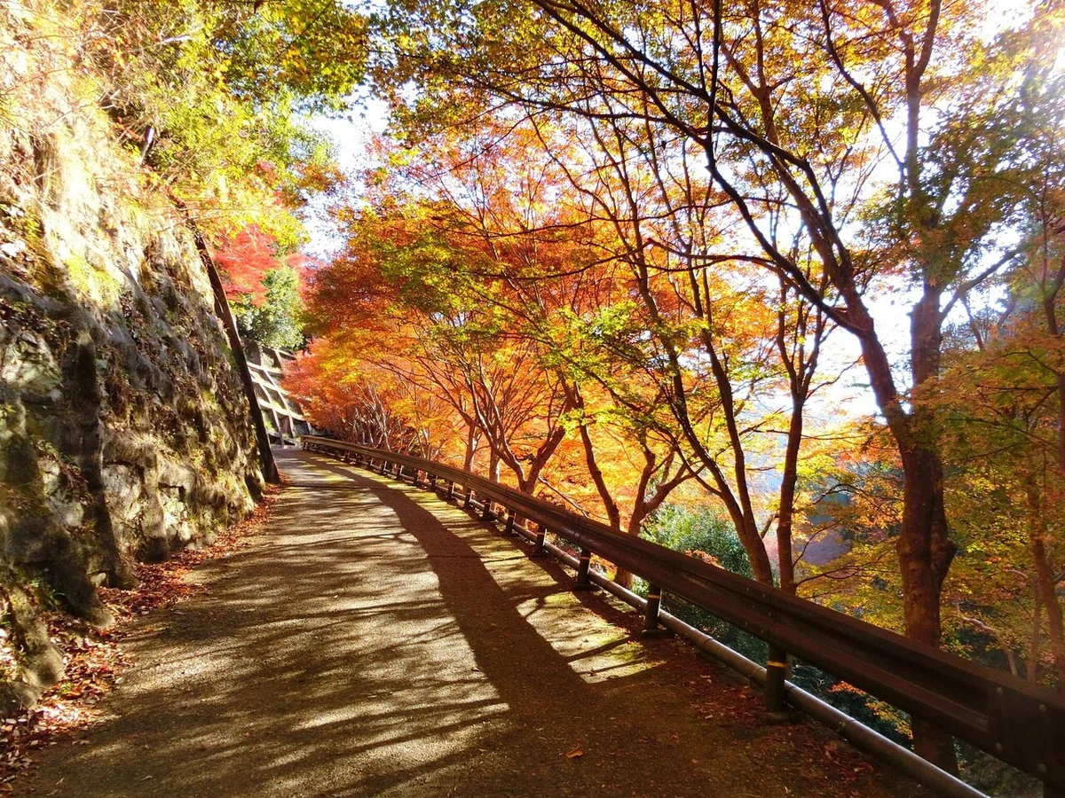 画像70