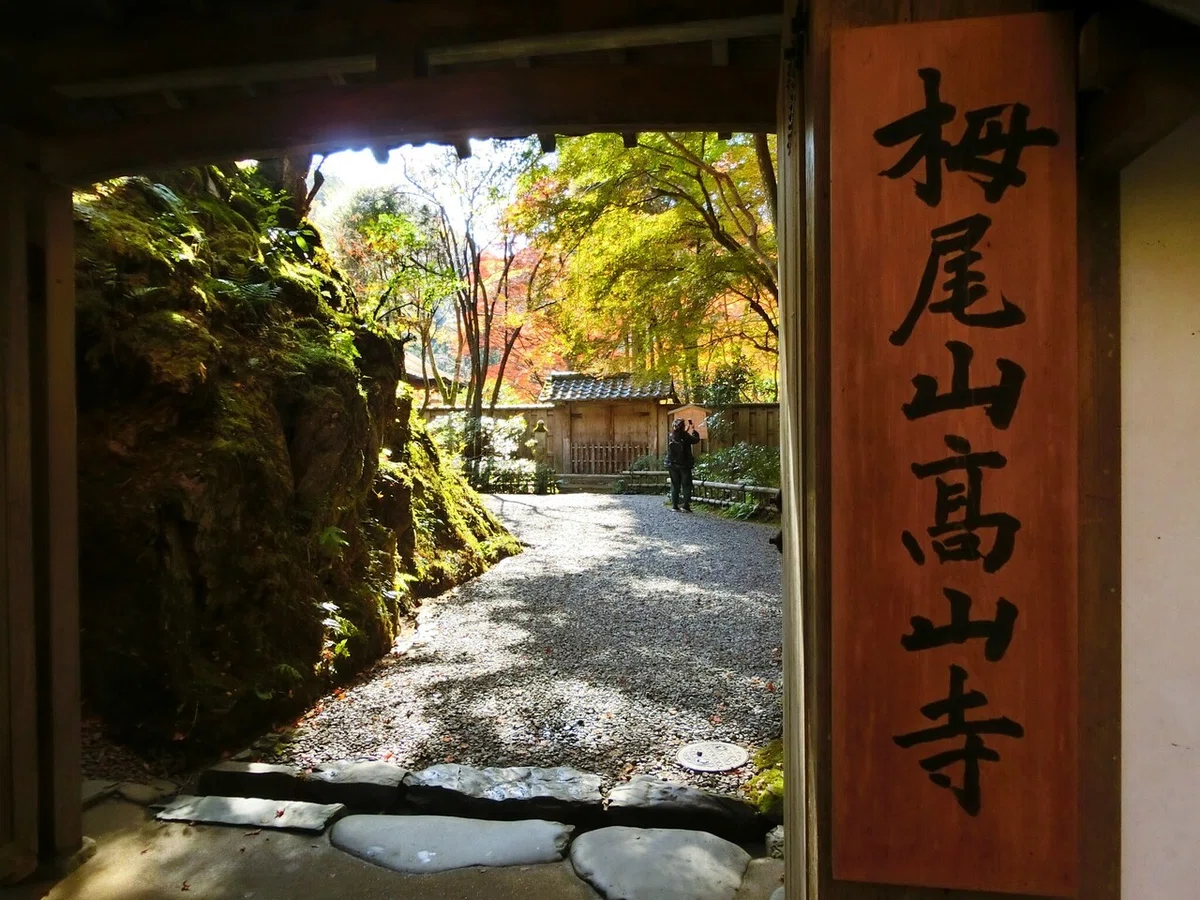 画像74