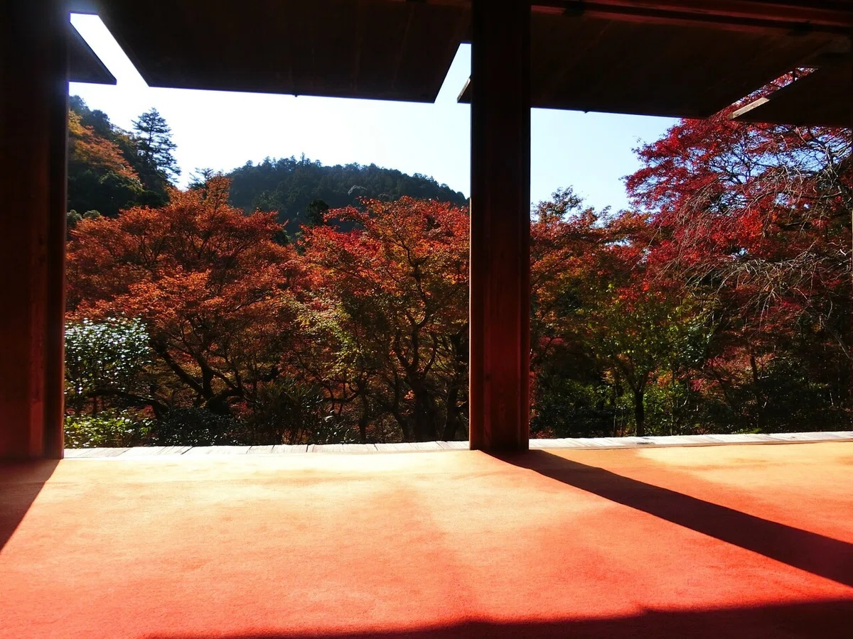 画像80