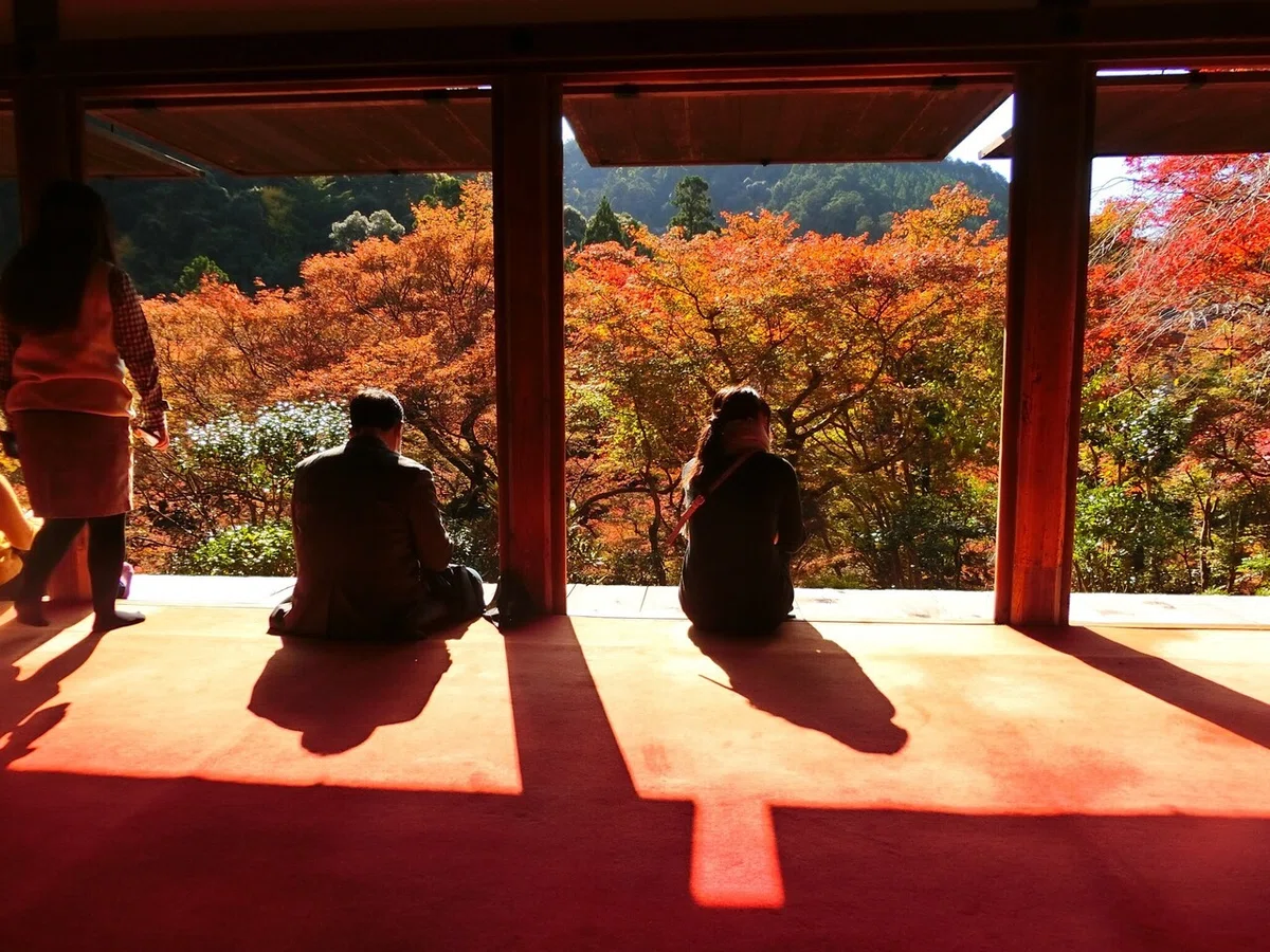 画像81