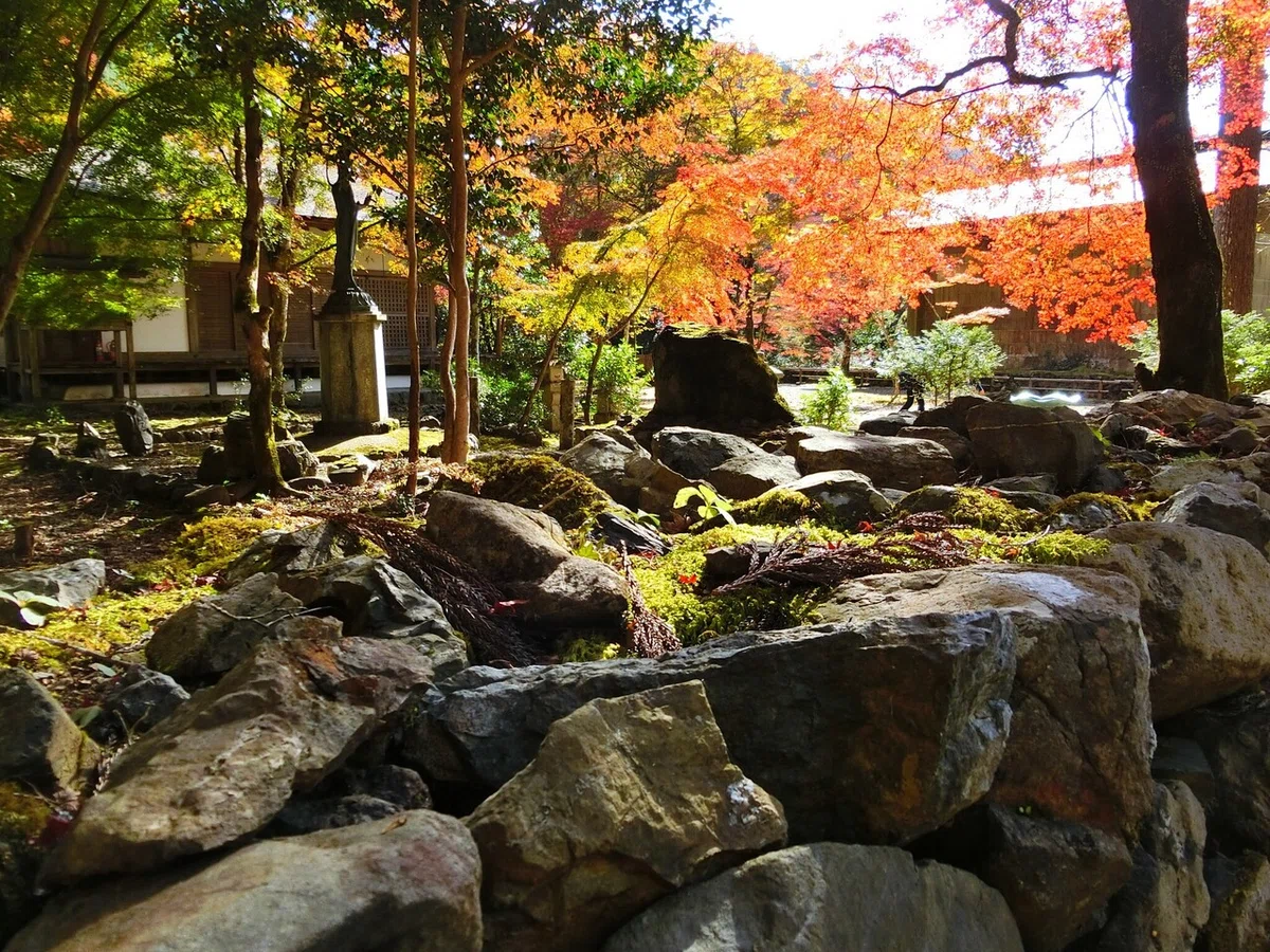 画像94