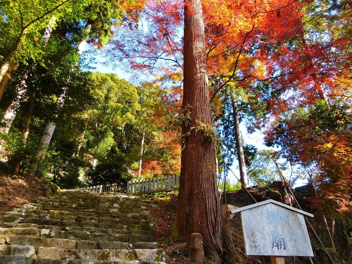 画像95