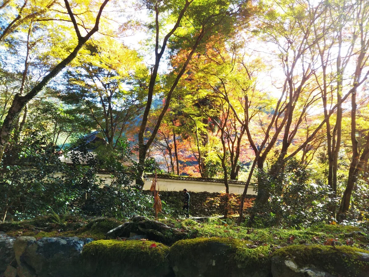 画像102