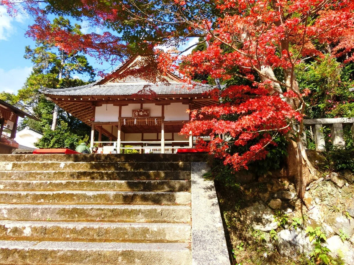 画像104