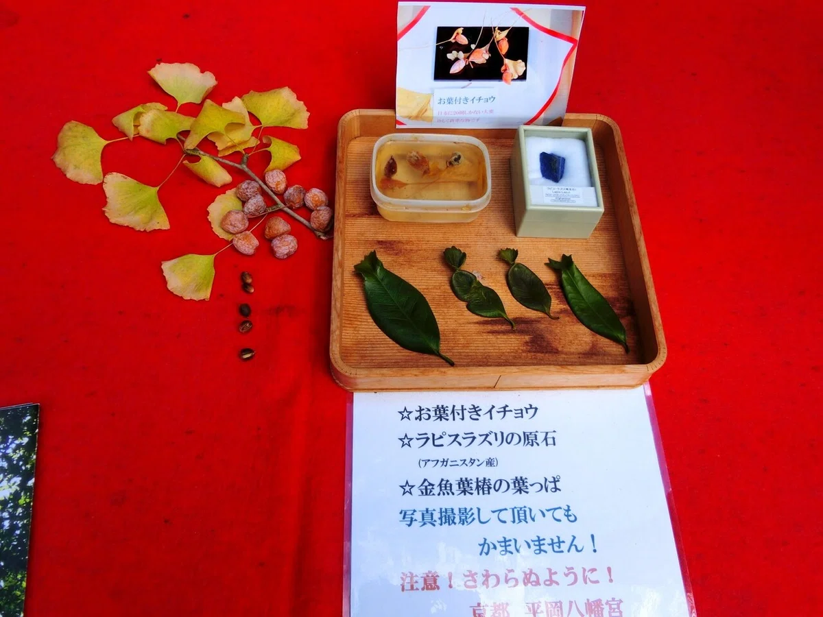 画像106