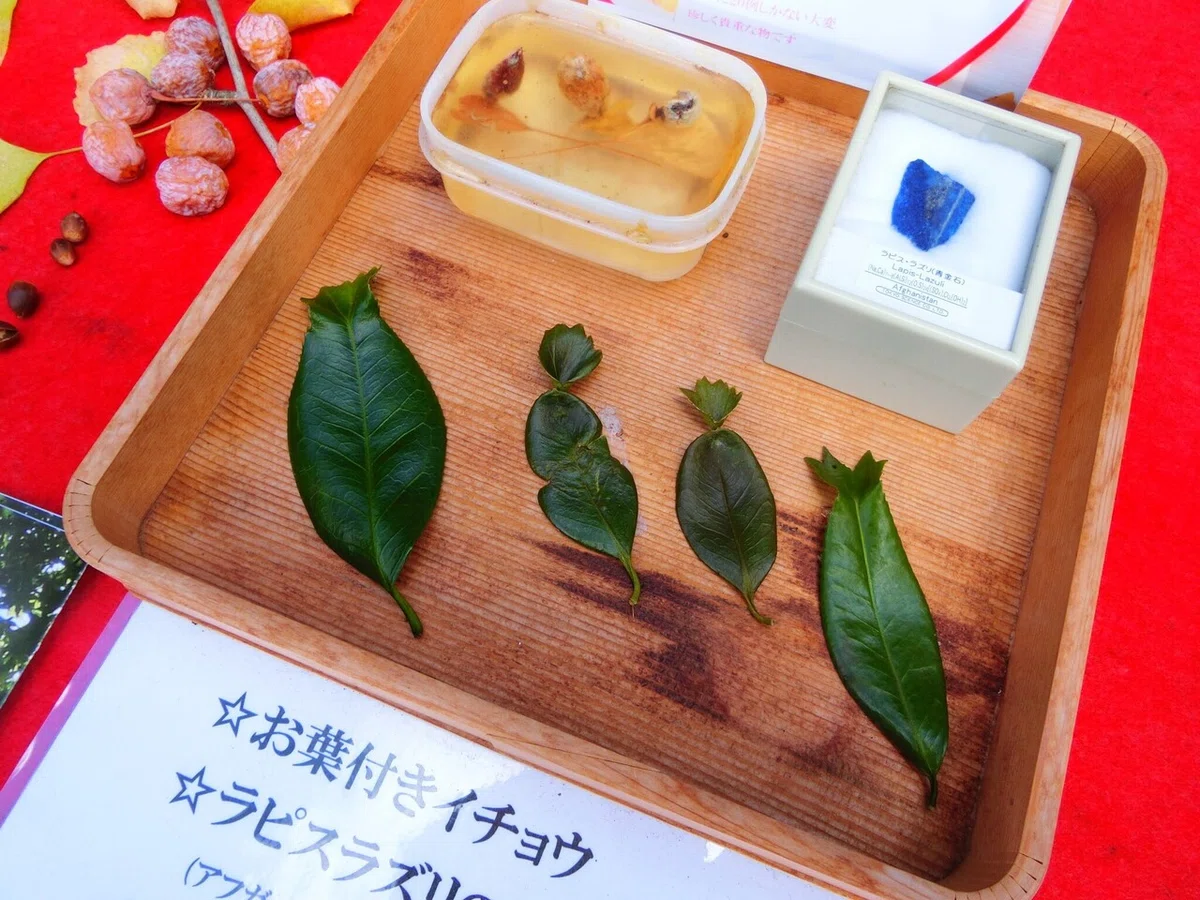 画像107