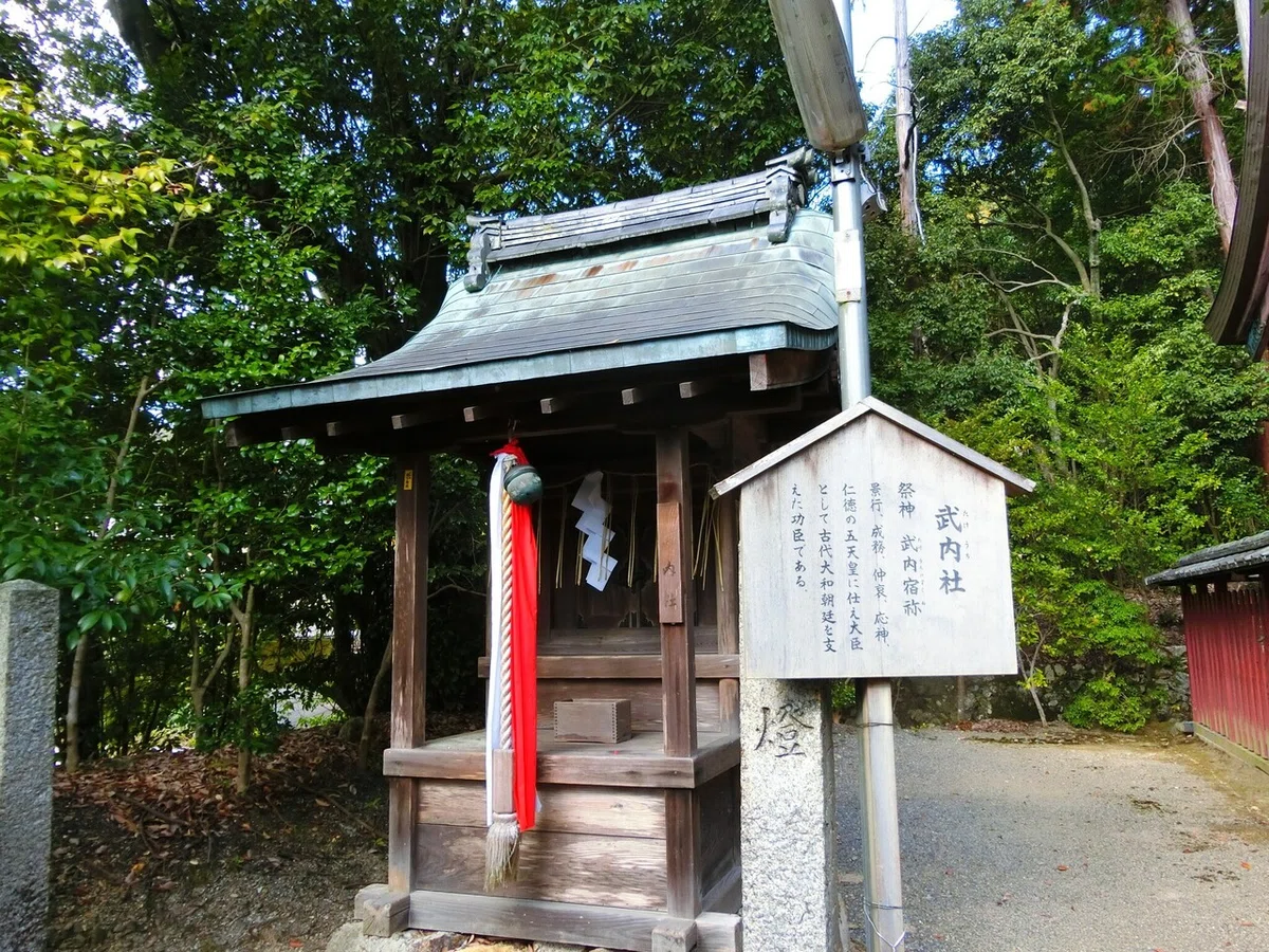 画像116