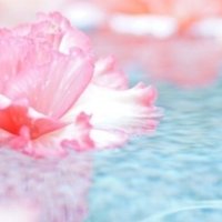 Superfly 愛を込めて花束を カラー分析から感じる世界 Interior Design Journal Kaja Design Note