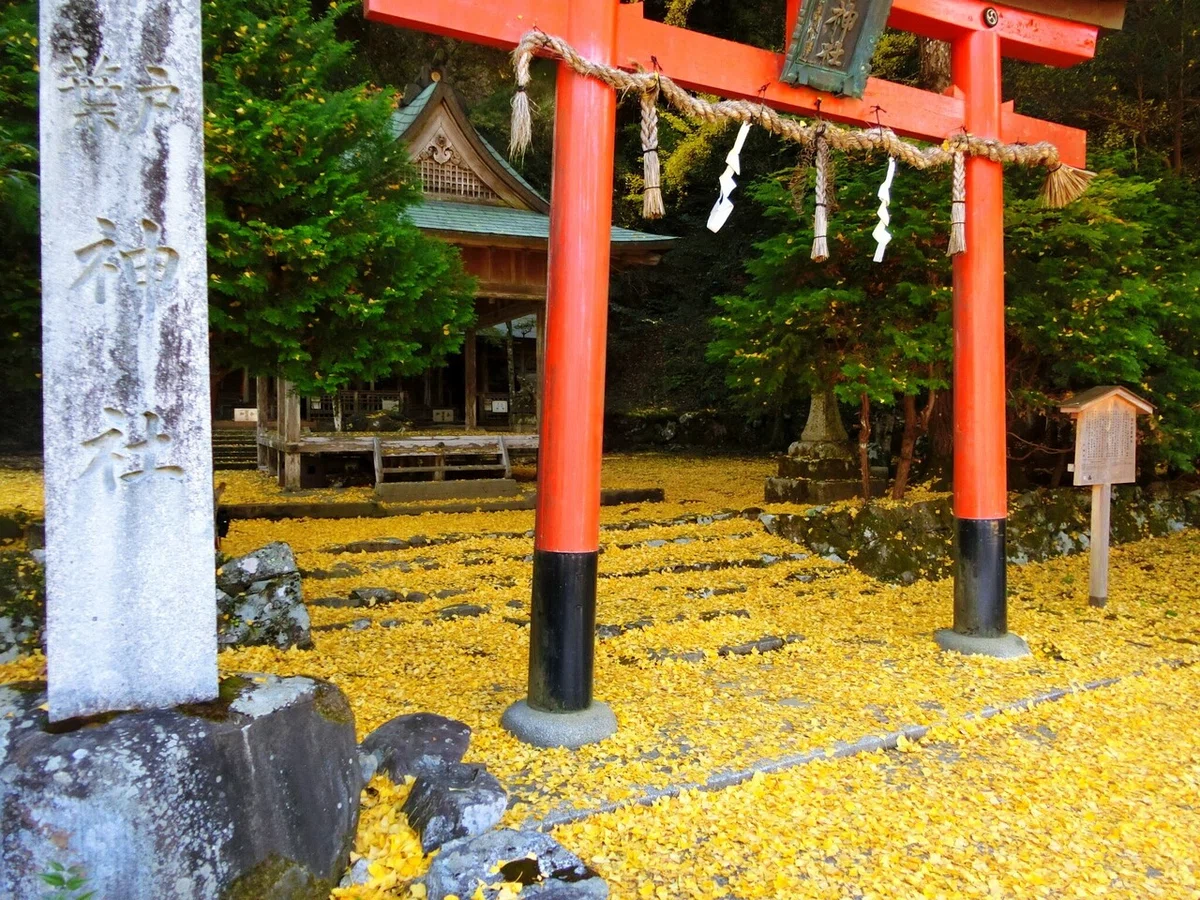 画像121
