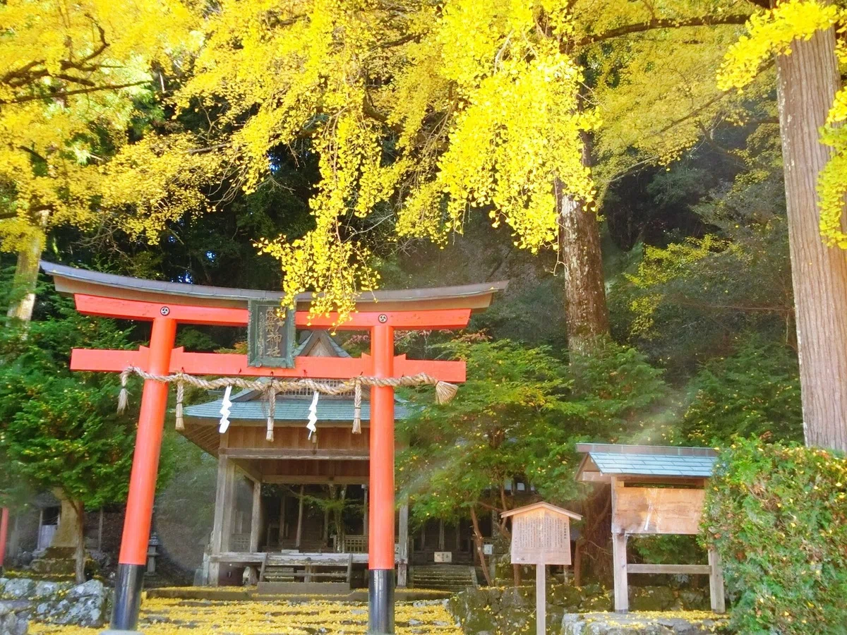 画像122