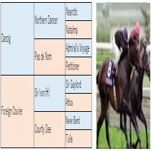 欧州型ノーザンダンサー系の特徴と種牡馬 高知けいばの鬼 佐賀競馬の神 Ai予想 Note