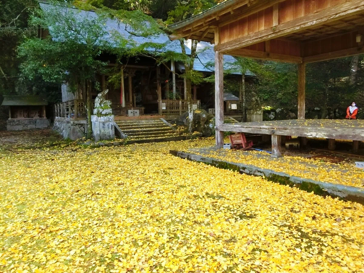 画像126