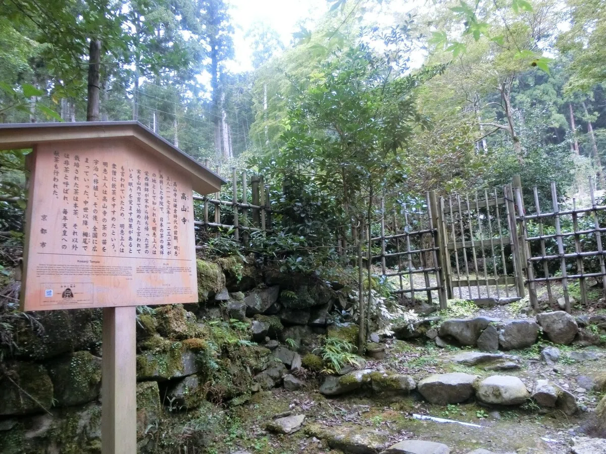 画像136