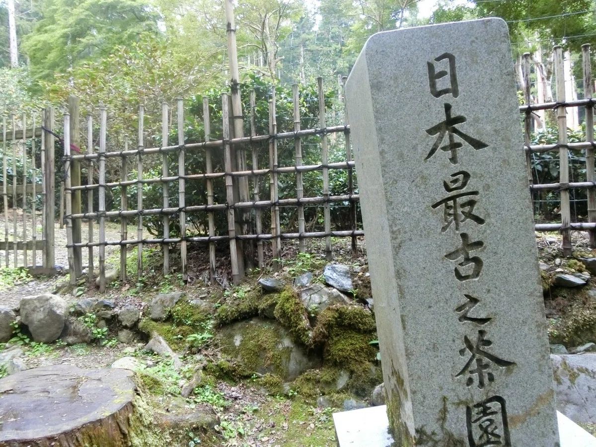画像137