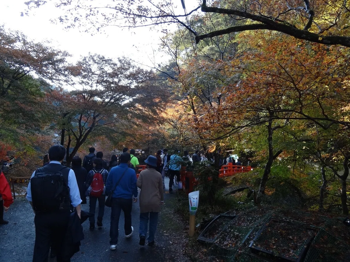 画像143