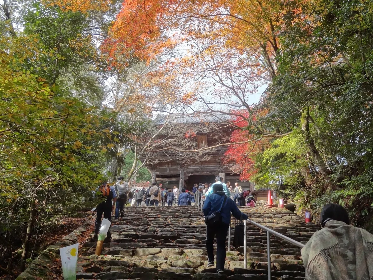 画像144