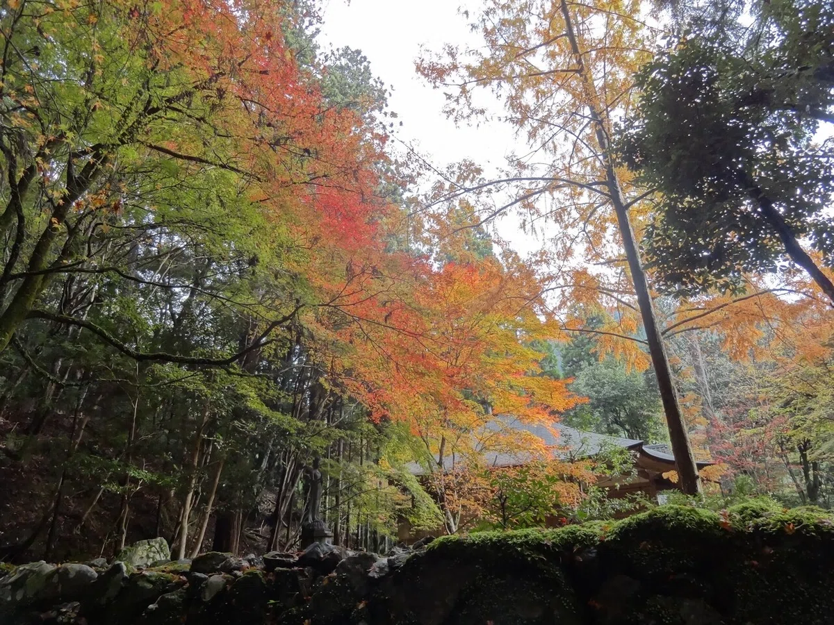 画像152
