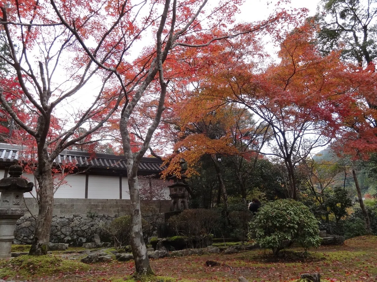 画像154
