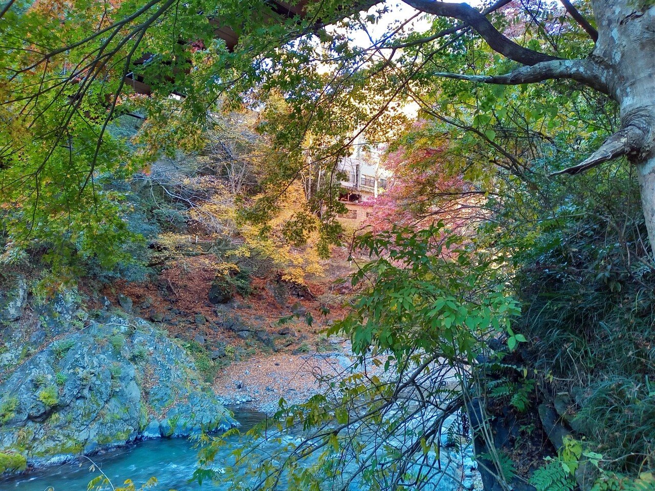 21年11月13日 奥多摩その6 氷川渓谷 もえぎ橋 Siouxcitizen Note 21年11月13日 奥多摩その6 氷川渓谷 もえぎ橋 Siouxcitizen Note