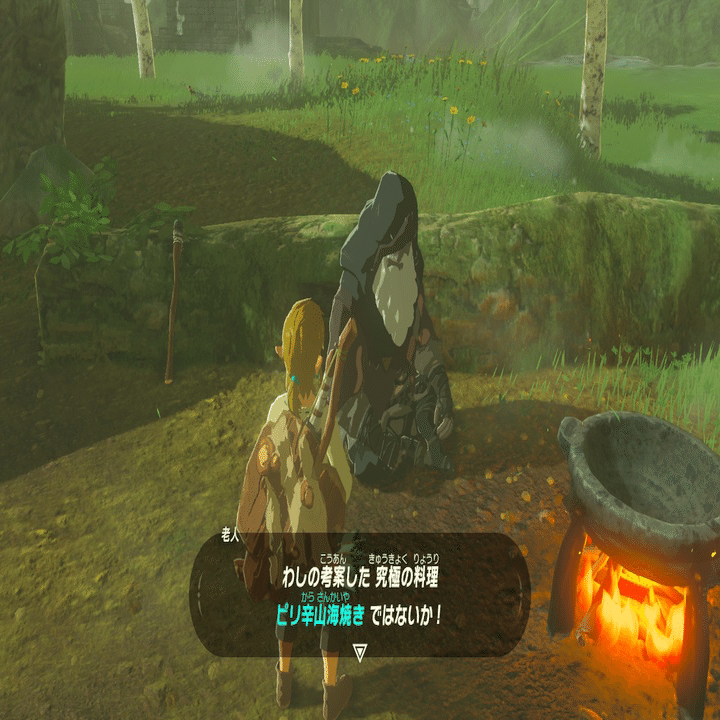 ゼルダの伝説ブレス オブ ザ ワイルド 2周目14話 知らんかった小ネタ集 ネタバレ スクショあり げーらびーず Note