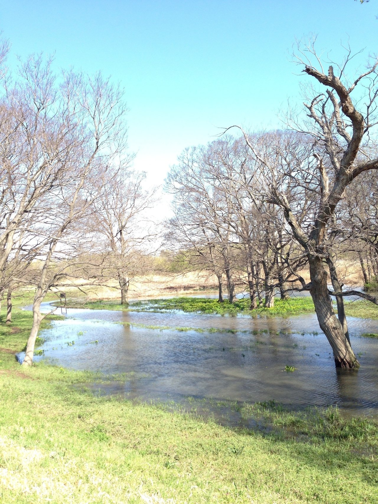 春らしい風景 You Note