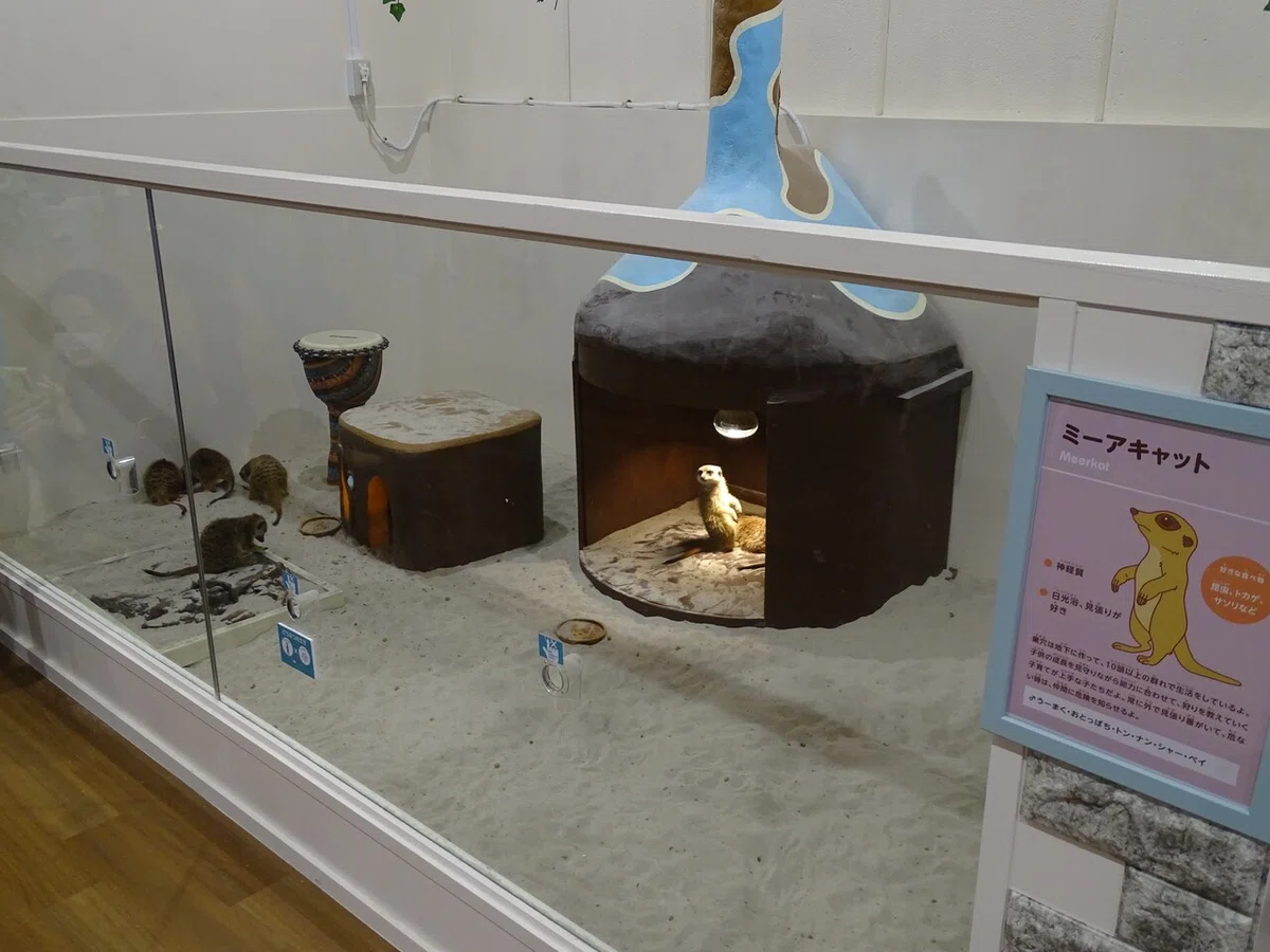 画像58