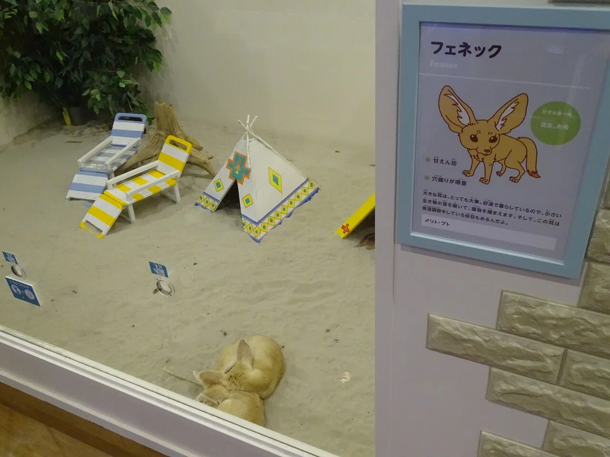 画像53