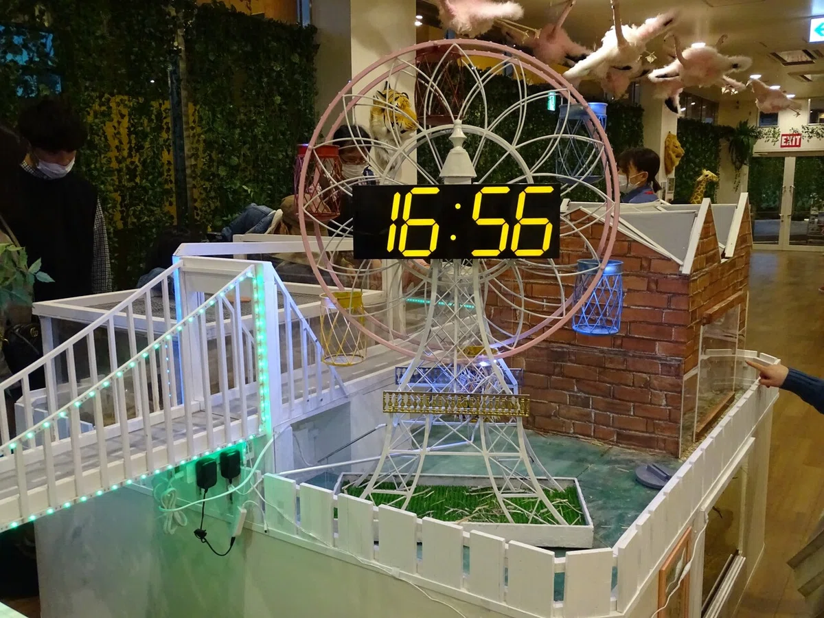 画像50