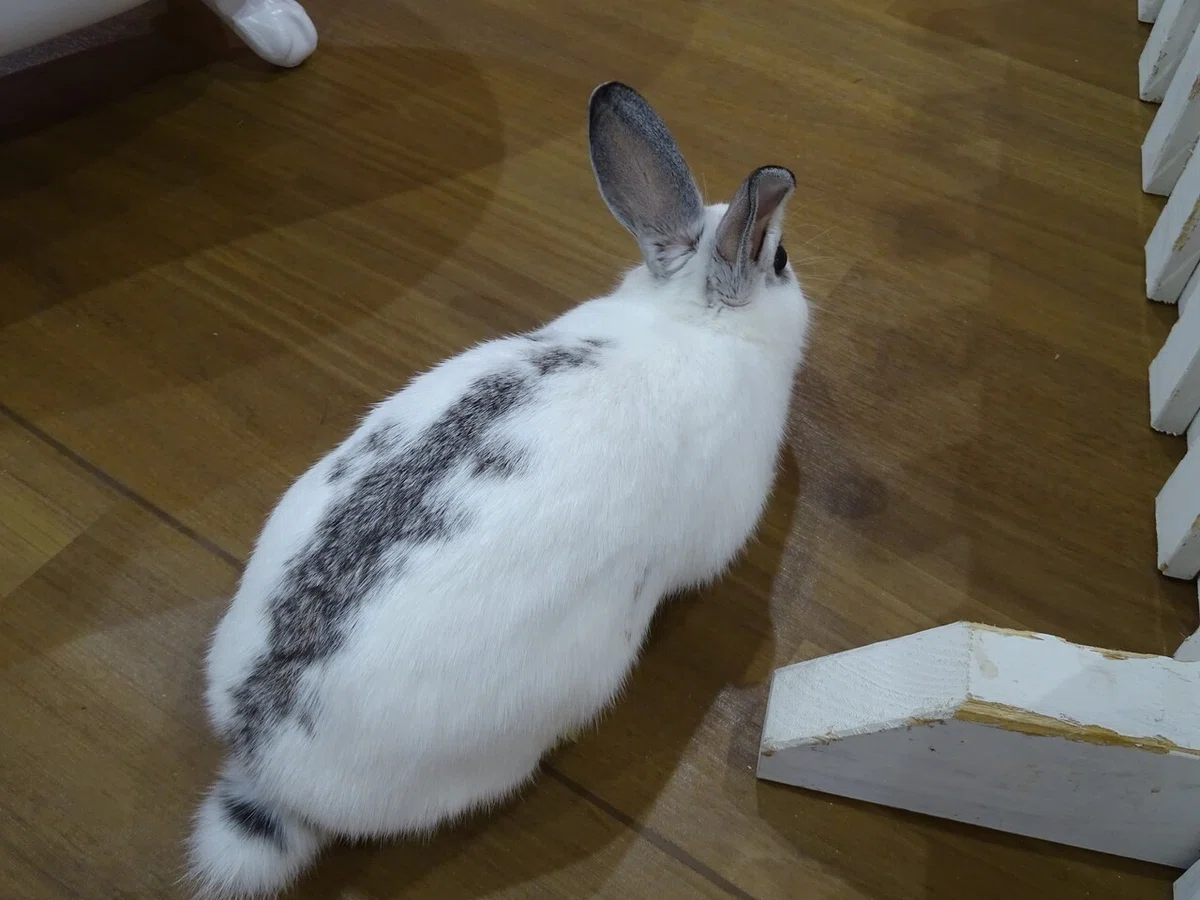 画像60
