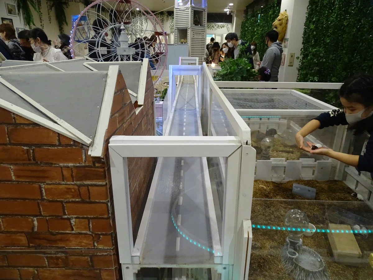 画像102