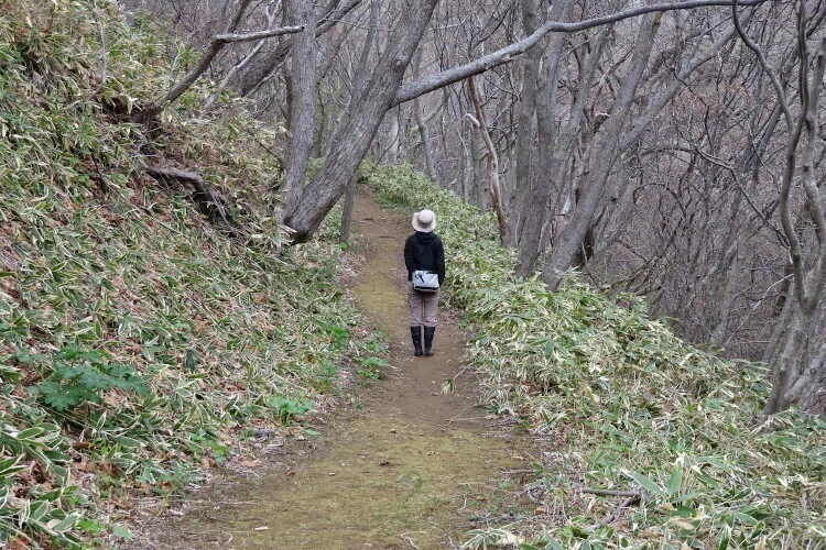 画像9