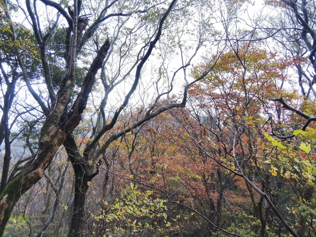 画像8