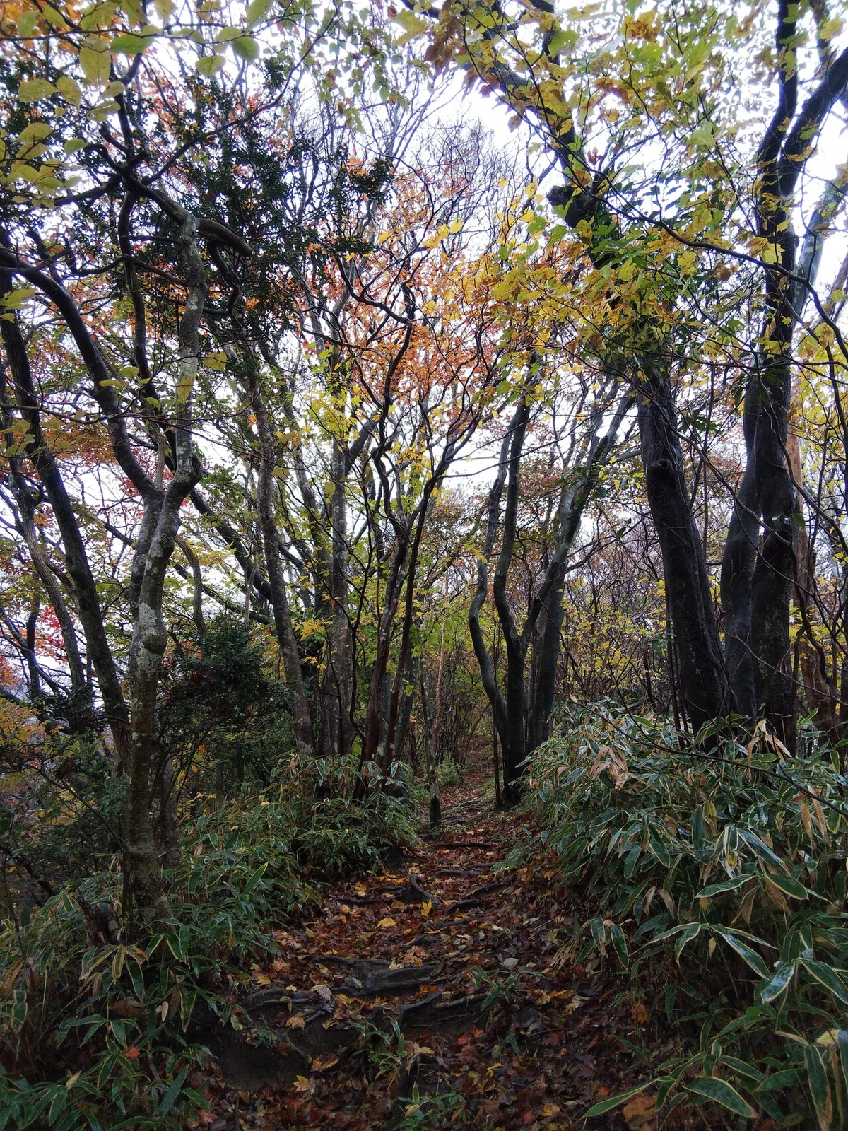 画像9