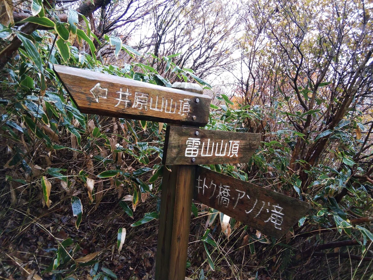 画像11