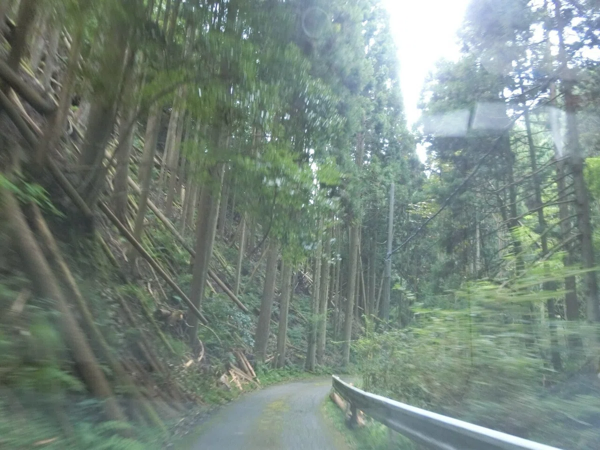 画像2
