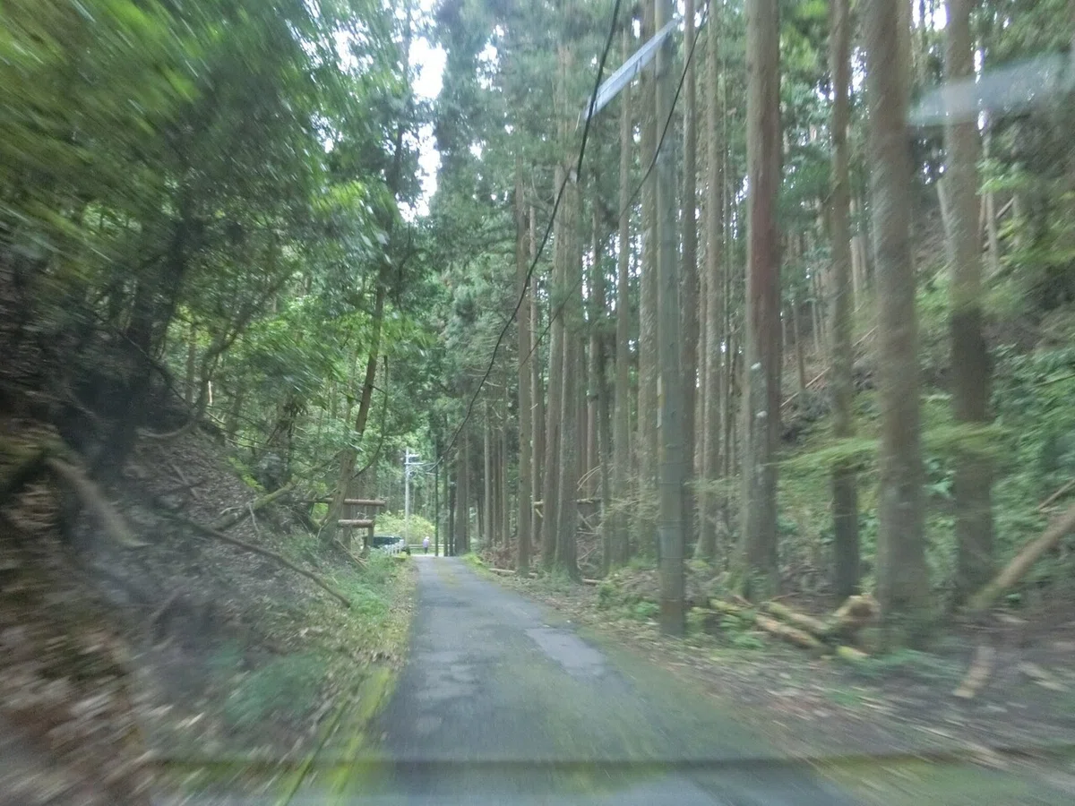 画像3
